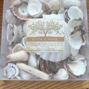 Assorted Seashells Bath Decor